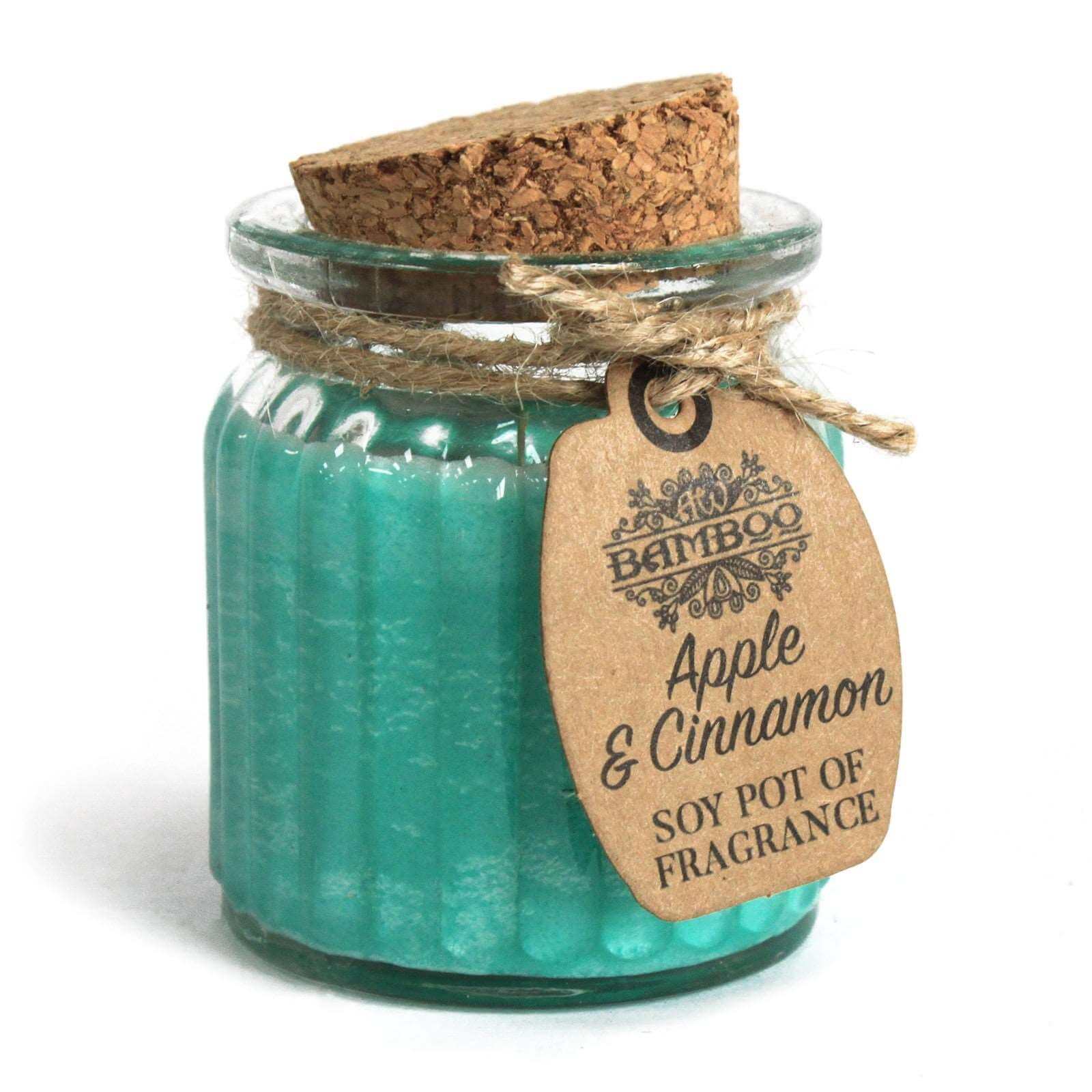 apple & cinnamon soy pot candle - 1