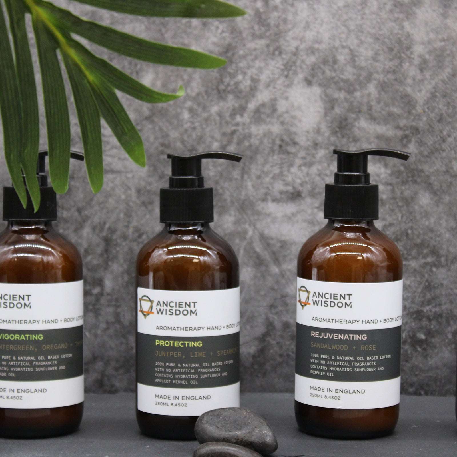 Wintergreen, Oregano & Thyme Hand & Body Lotion